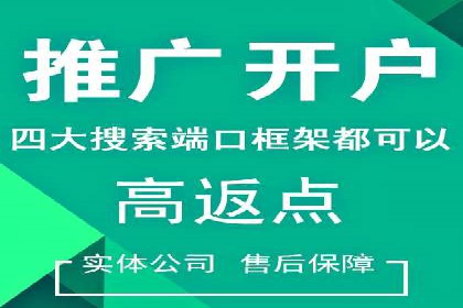 SEM竞价培训：实战案例解析与优化